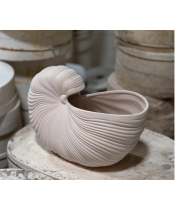 Shell Pot