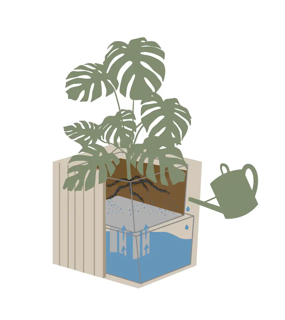 GrowMore -Eik natur - Bilde 2