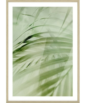 Serene Leaf -50x70 m/eikeramme