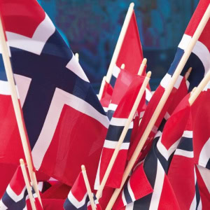 Serviett Lunsj Flagg