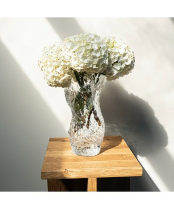 Ostrea Rock Vase - Clear