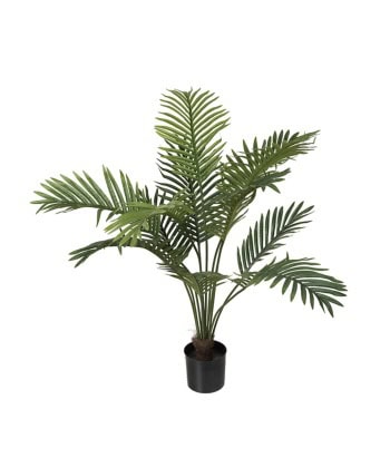 Palme