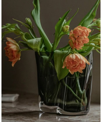 Alternative view of Aer Vase