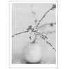 Spring Flower 2