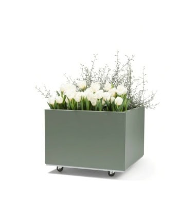 BEDD 60x60H40 -Green -Limited edition