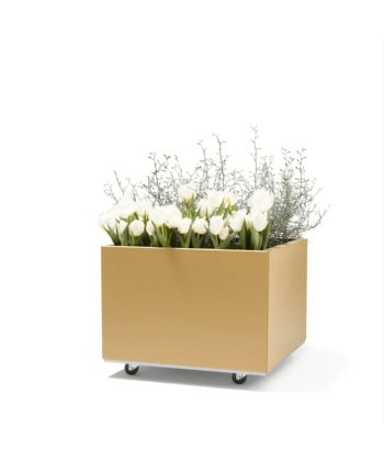 BEDD 60x60H40 -Gold -Limited edition
