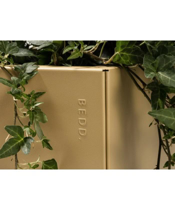 BEDD 60x60H40 -Gold -Limited edition - Bilde 2