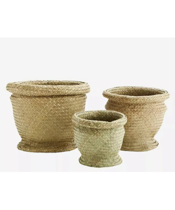 Gresskurver 3pk