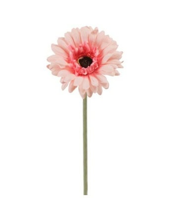 Gerbera, Lyserosa -55cm