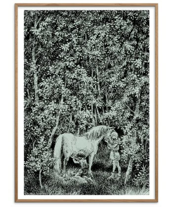 Poster -A Special Bond, Ronja Røverdatter