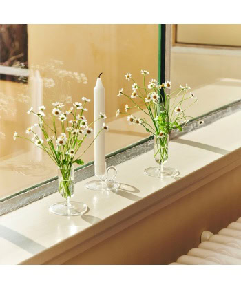 Tiny Curved-Lysestake - Bilde 2
