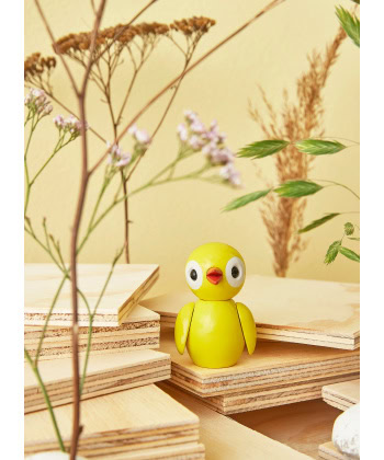 Spring Fugler - Bilde 3