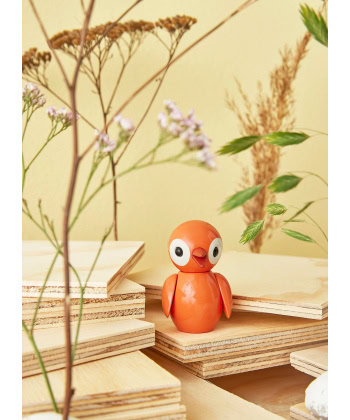 Spring Fugler - Bilde 6
