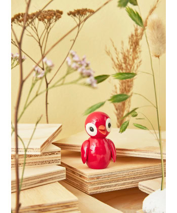 Spring Fugler - Bilde 2