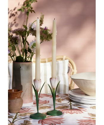 Lysestake -Crocus Powder - Bilde 2