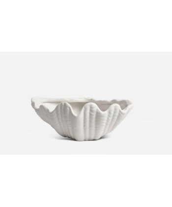 Shell S -Bolle