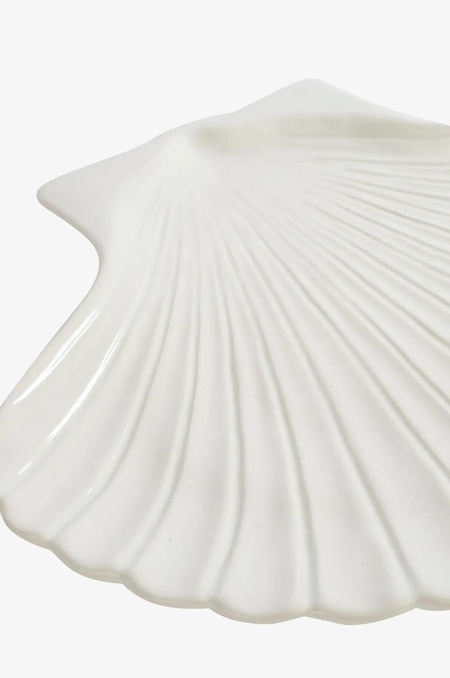 Shell XL -Fat - Bilde 3