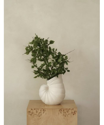 Shell Vase - Bilde 2