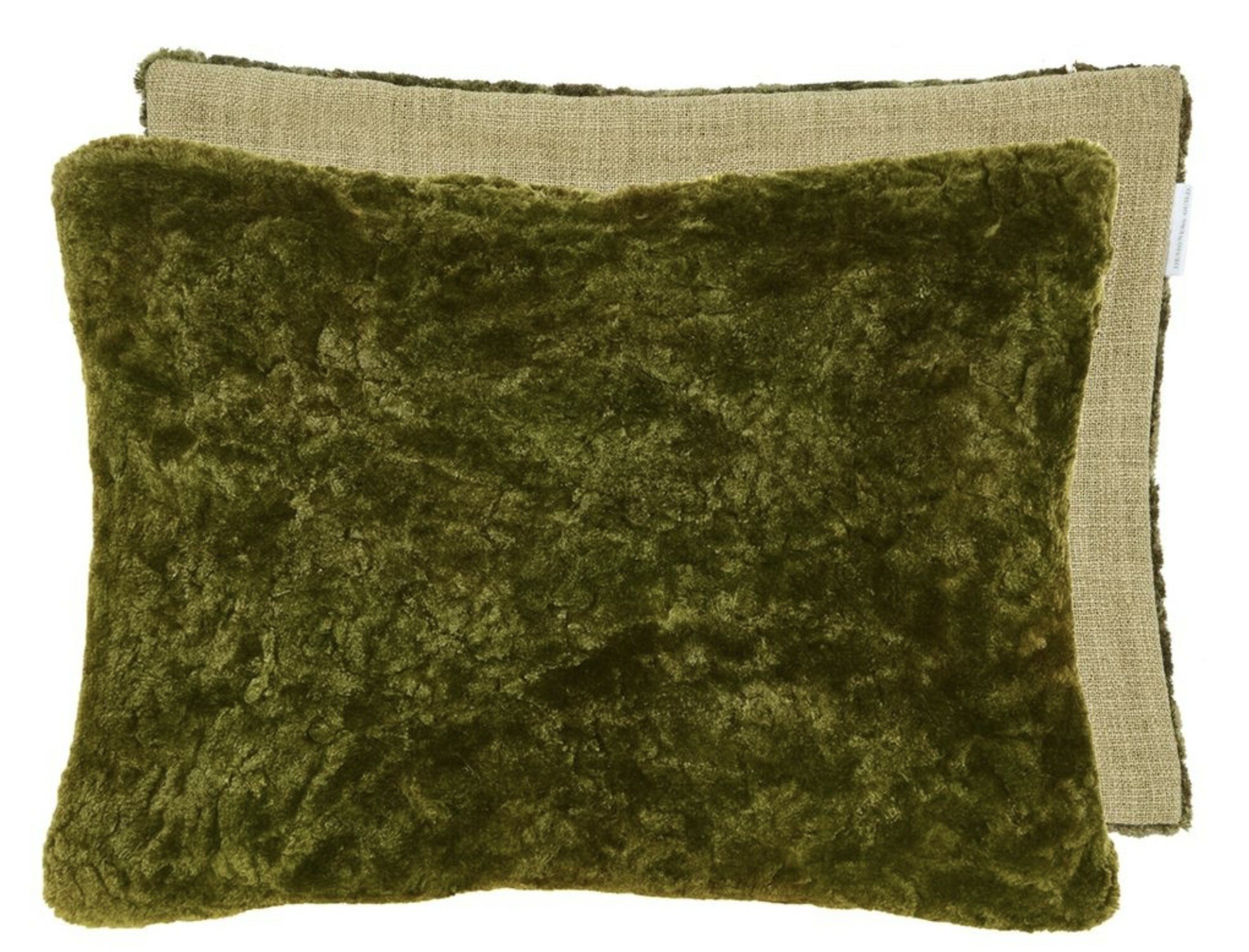 Penwith Moss Pute