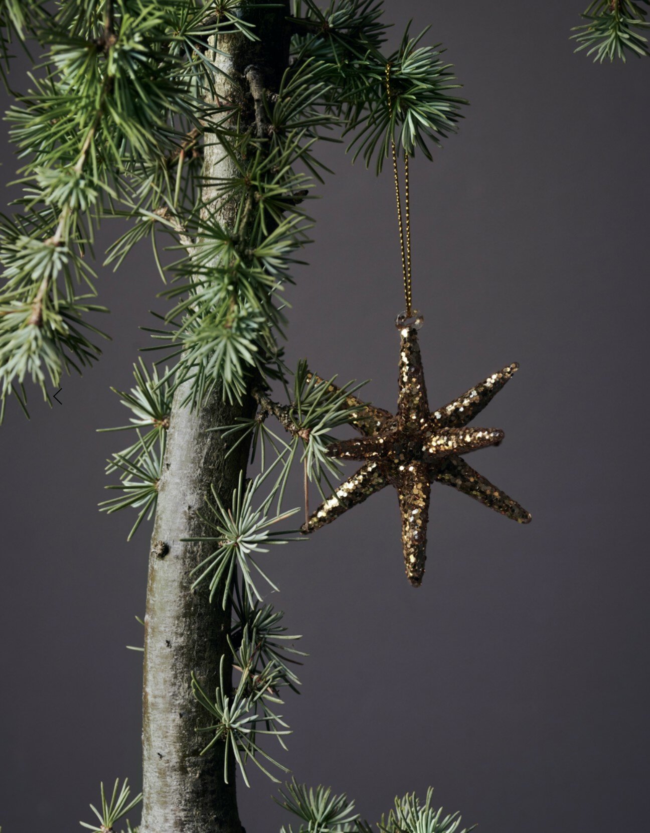 Juletrepynt -Spike liten, Gull - Bilde 3