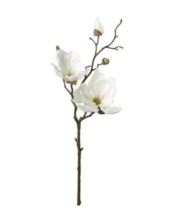 Magnolia Hvit 45cm