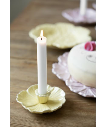 Botanik Liten Lysestake -Gul - Bilde 2