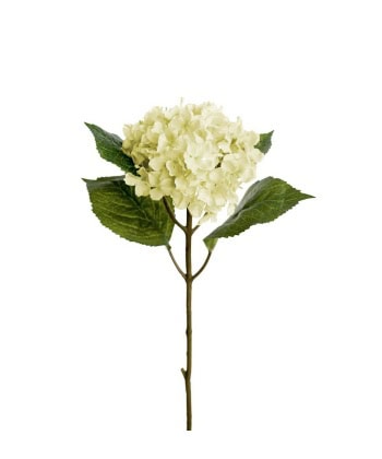 Hortensia 40cm -Hvit