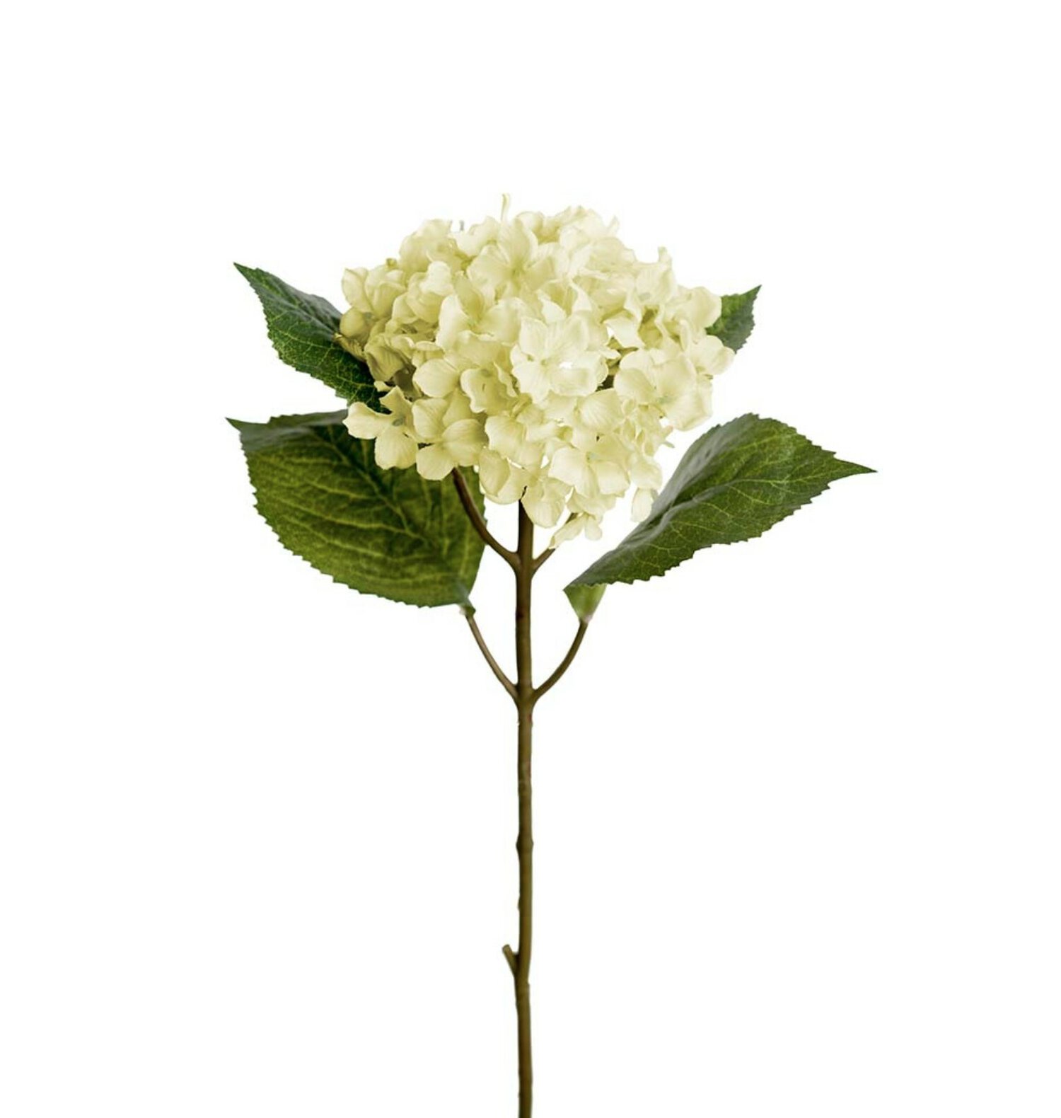 Hortensia 40cm -Hvit