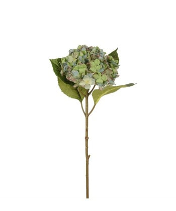 Hortensia 40cm -Blå/grønn