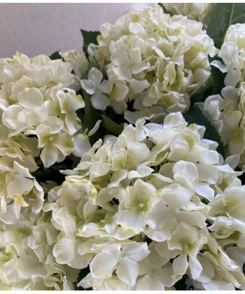 Hortensia 40cm -Hvit - Bilde 2