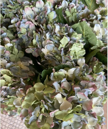 Hortensia 40cm -Blå/grønn - Bilde 2