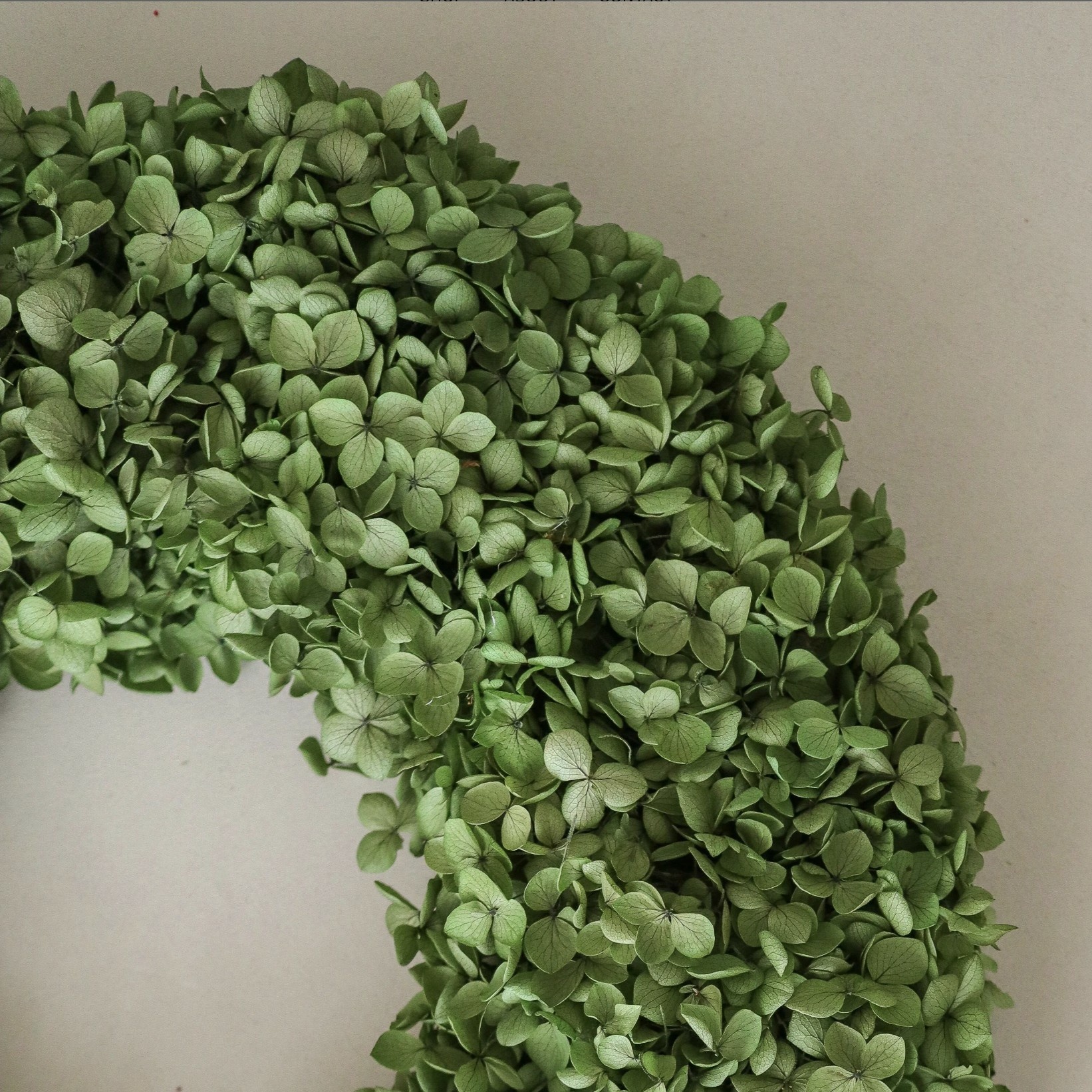 Krans Hortensia - Bilde 2