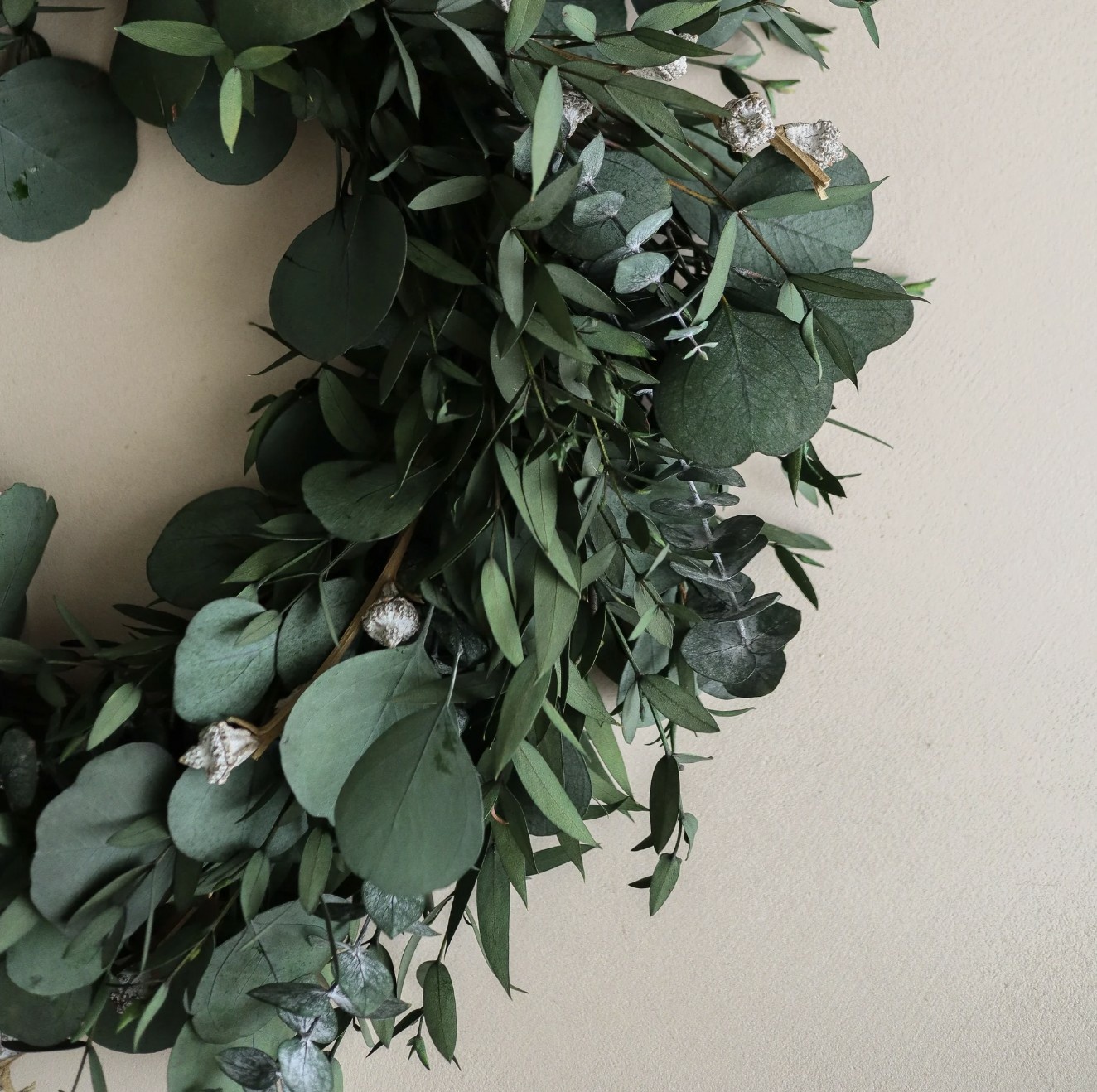 Krans Eucalyptus - Bilde 2