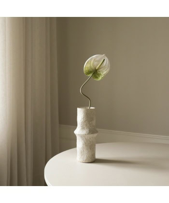 Anthurium, Lys grønn