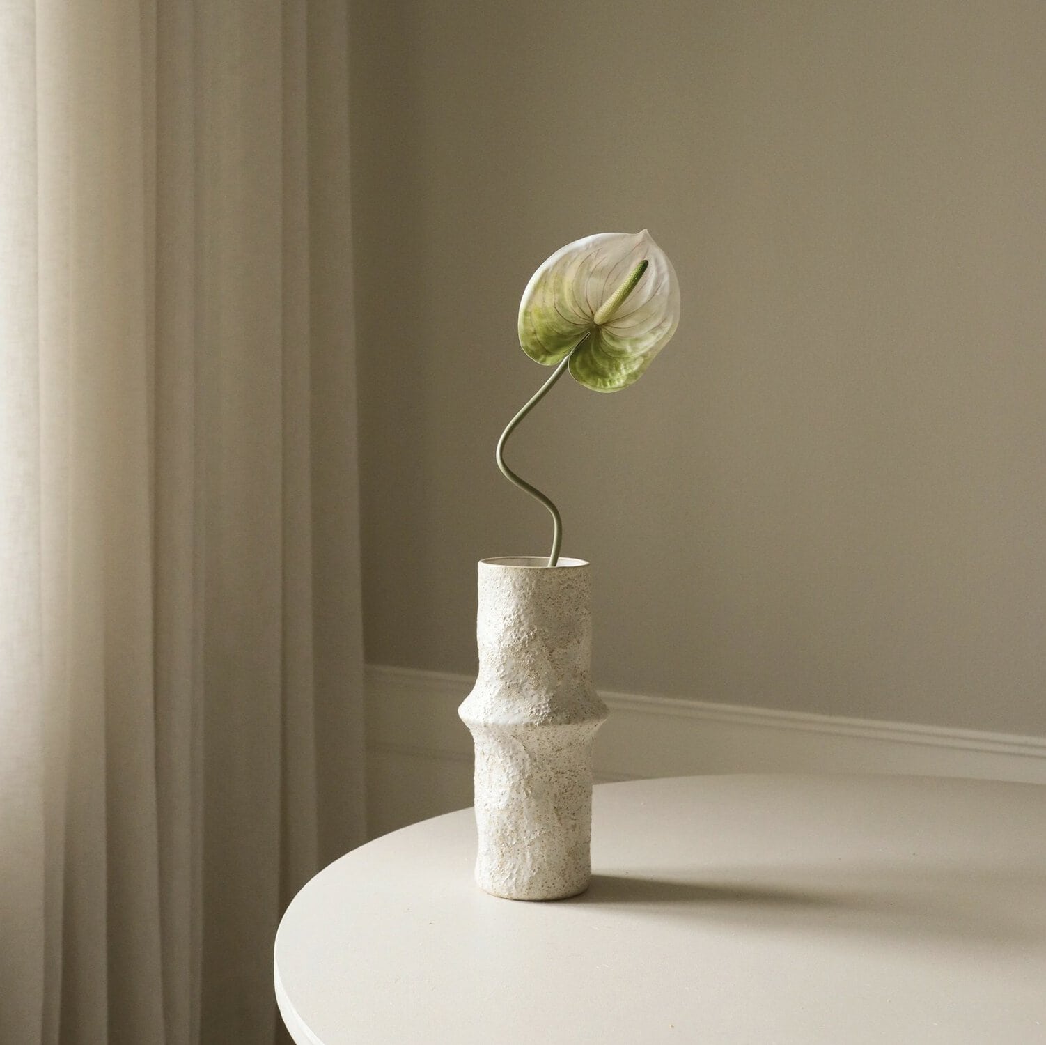 Anthurium, Lys grønn