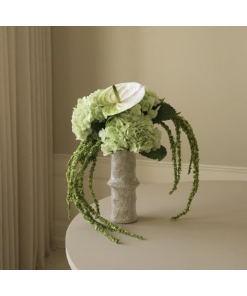 Anthurium, Lys grønn - Bilde 5
