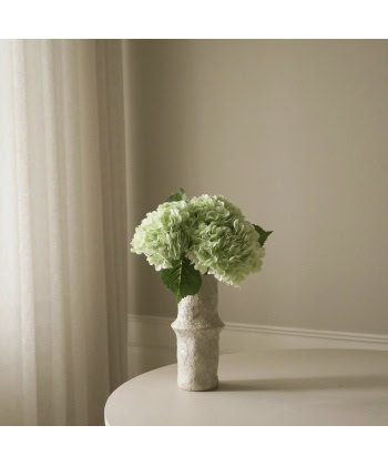 Hortensia, Lys grønn