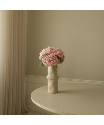 Hortensia, Lys rosa - Bilde 3
