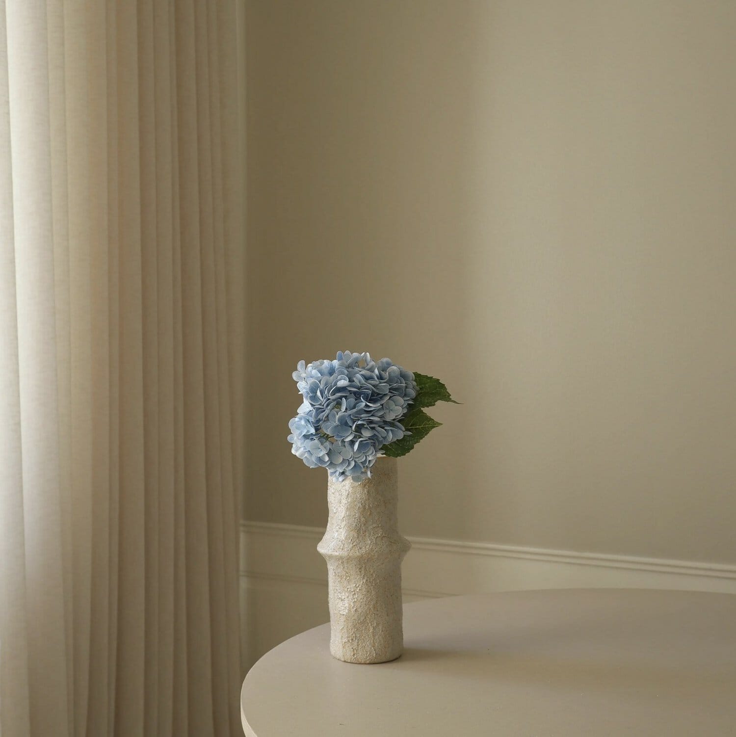Hortensia, Lys blå