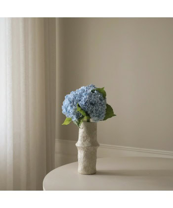 Hortensia, Lys blå - Bilde 4