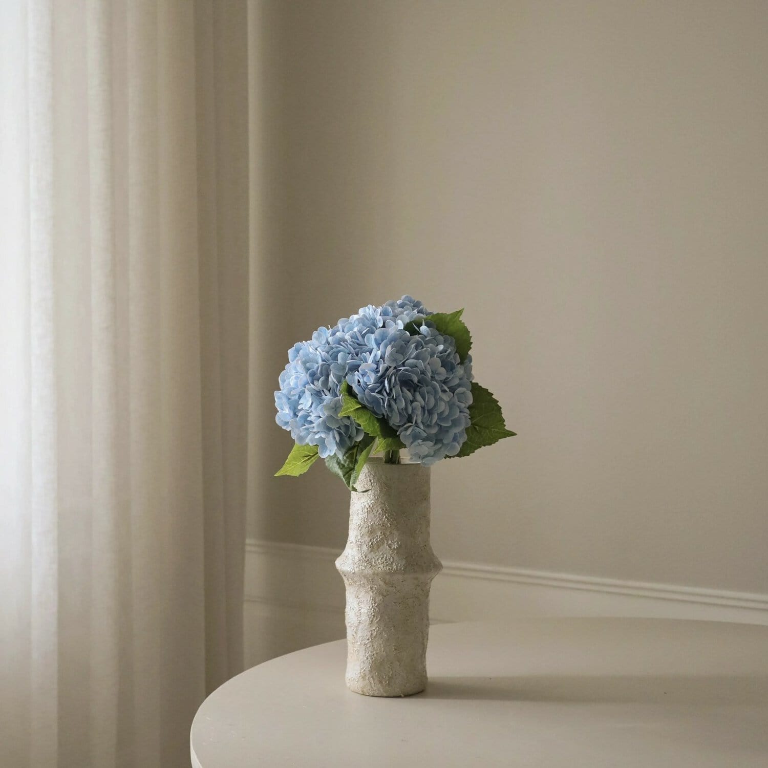Hortensia, Lys blå - Bilde 4