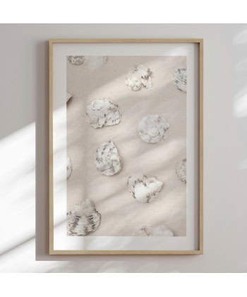 Coastal Sand Shells -Innrammet plakat 30x40