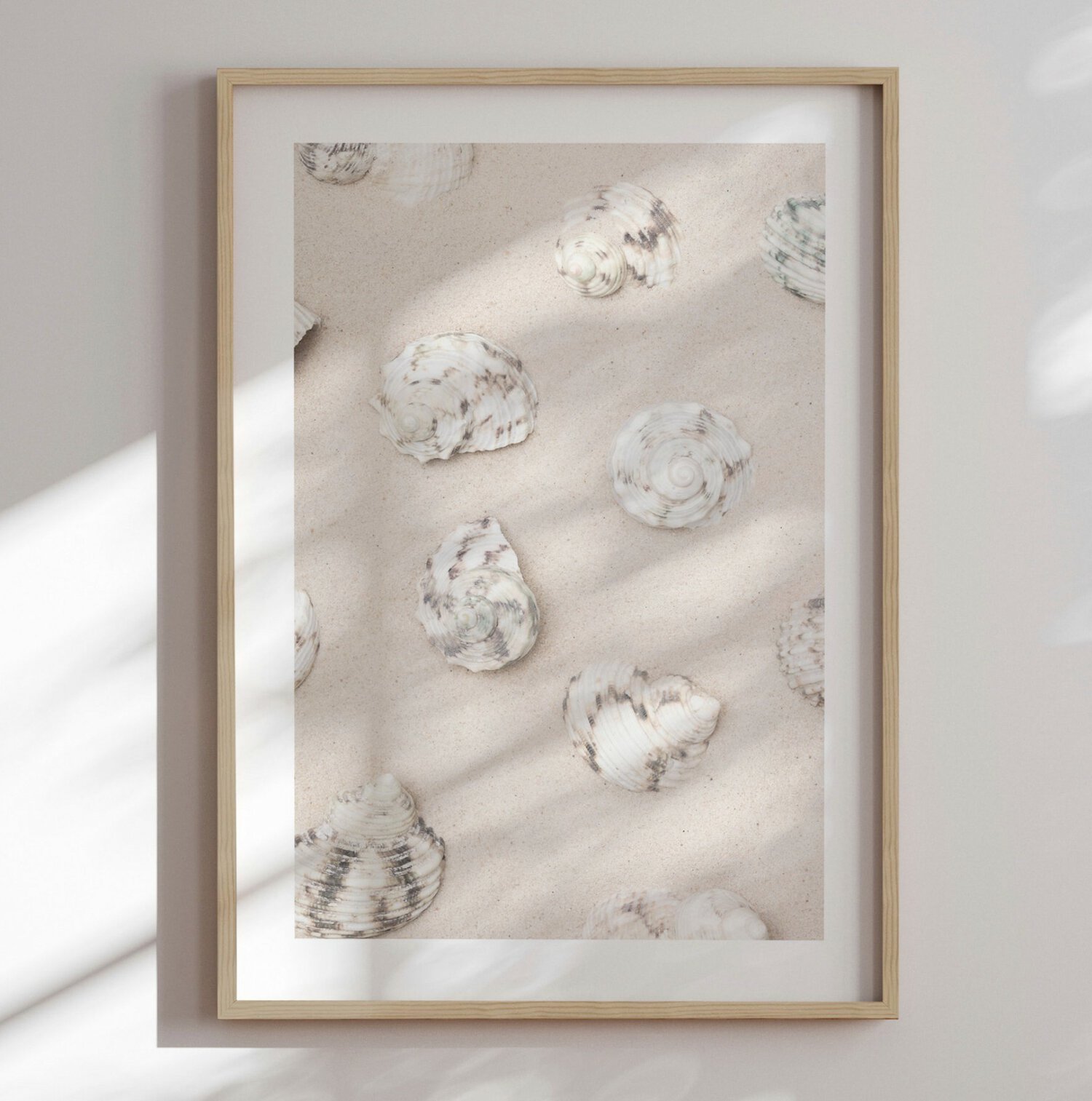 Coastal Sand Shells -Innrammet plakat 30x40