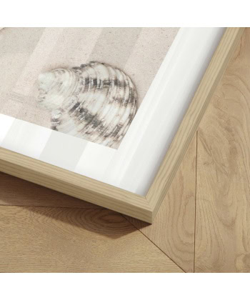 Coastal Sand Shells -Innrammet plakat 30x40 - Bilde 2