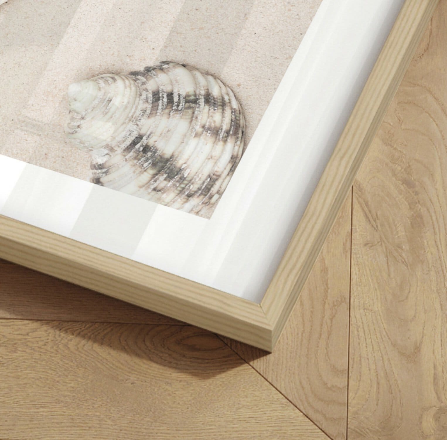 Coastal Sand Shells -Innrammet plakat 30x40 - Bilde 2