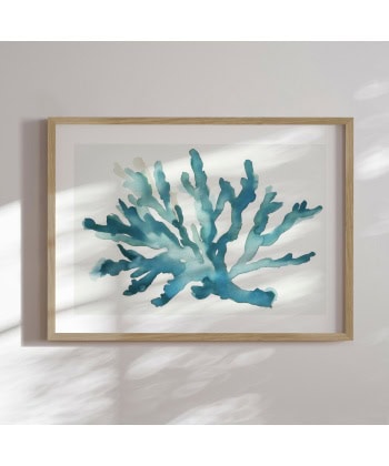 Turquoise Coral -Innrammet plakat 30x40