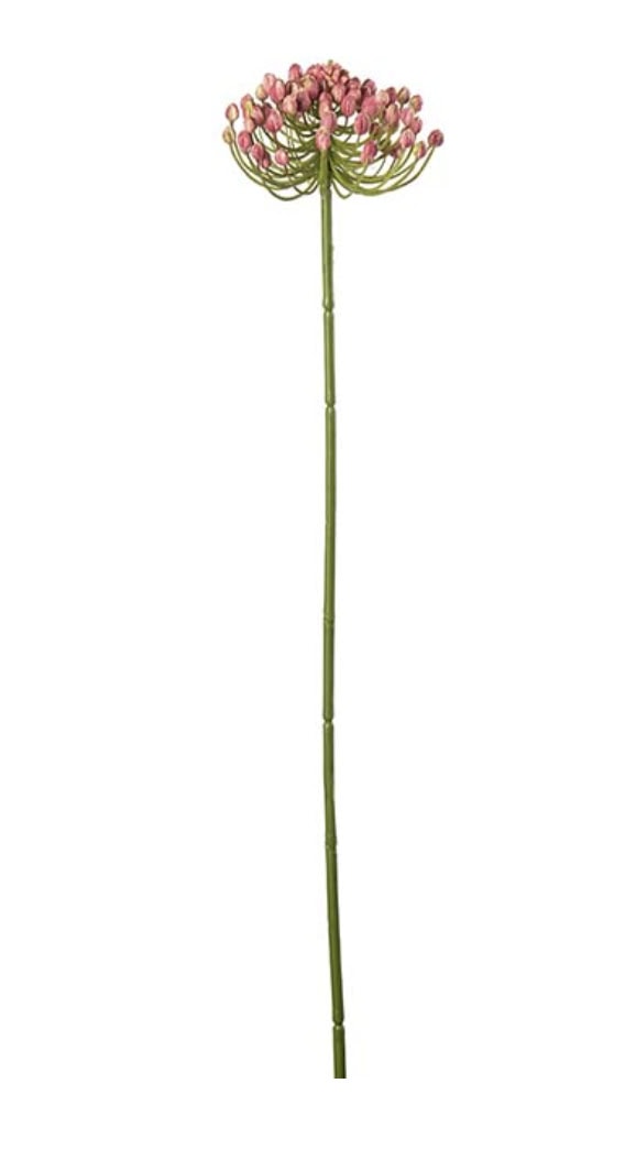 bærkvist 63 cm