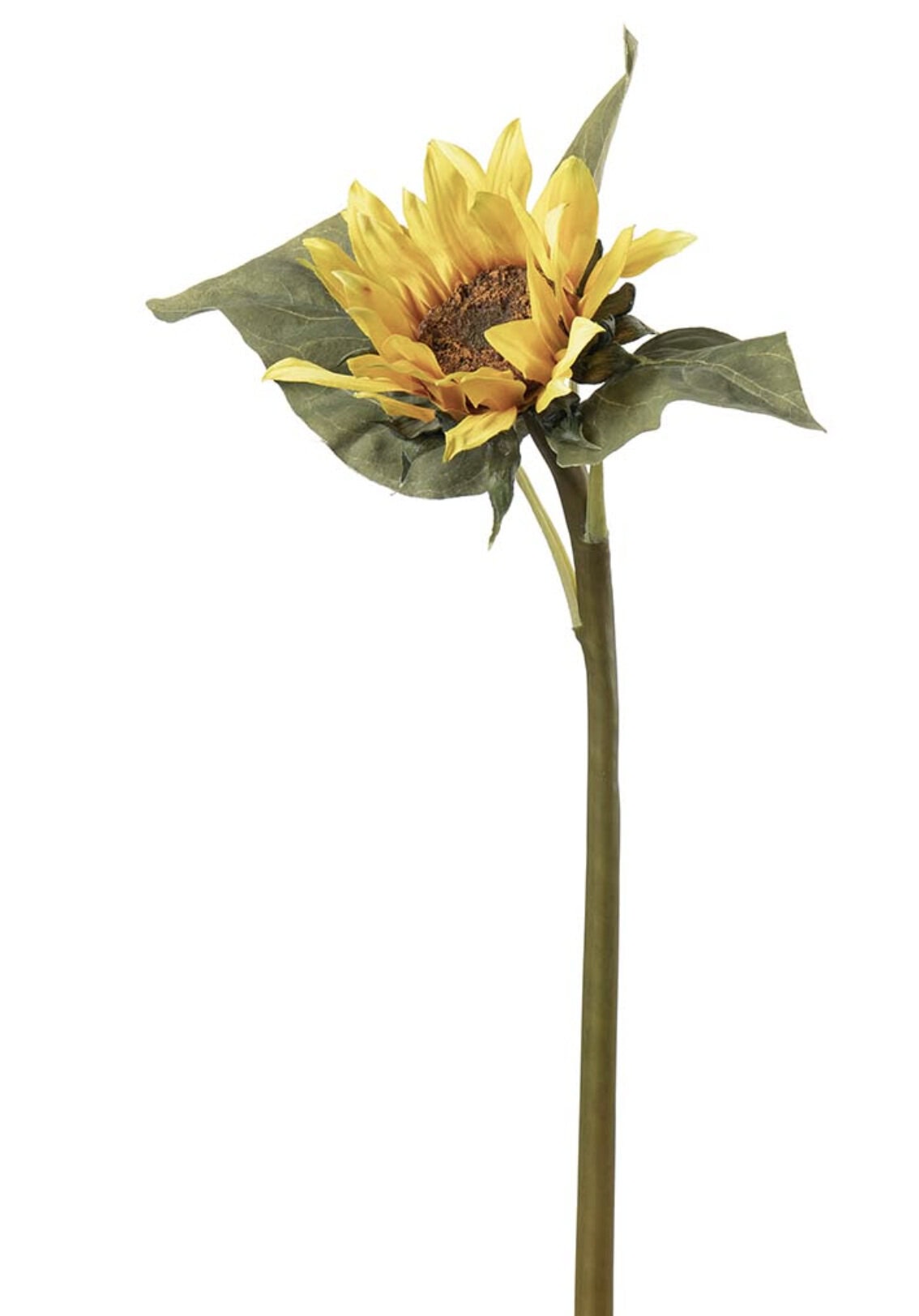 solsikke