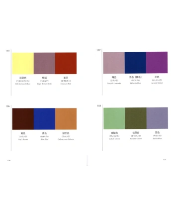 Bok -A Dictionary Of Color Combinations - Bilde 2
