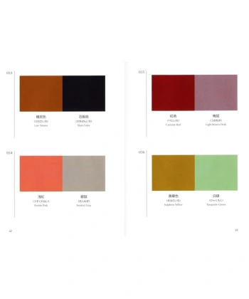 Bok -A Dictionary Of Color Combinations - Bilde 4